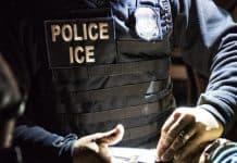 ICE-2-e1586365942850.jpg