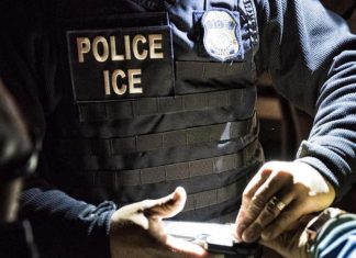 ICE-2-e1586365942850.jpg