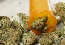 medical marijuana