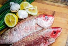red-snapper-e1569946511292.jpg