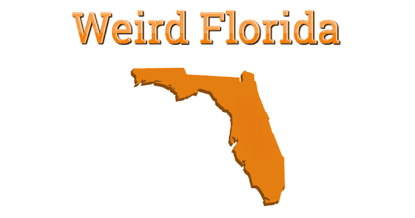 www.floridadaily.com