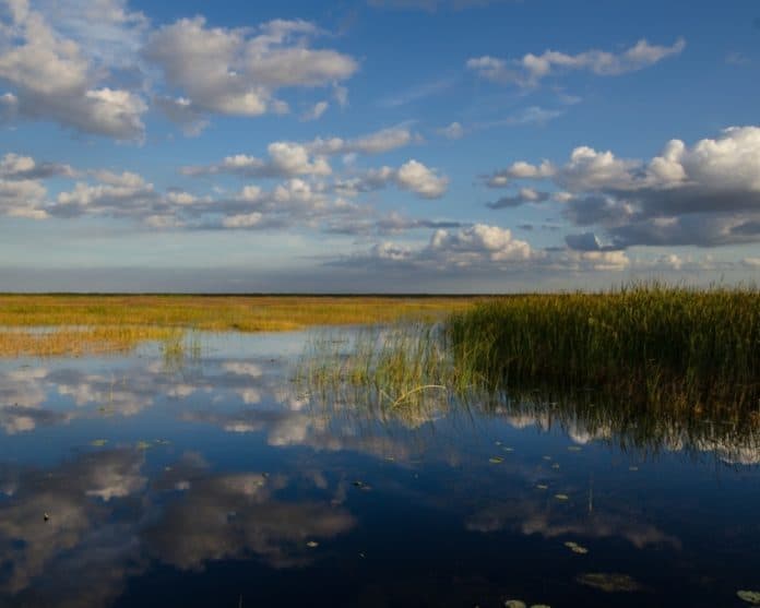 lake okeechobee
