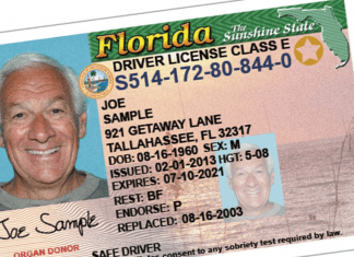 florida drivers license