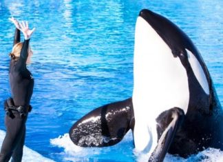 seaworld