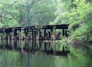 withlacoochee river
