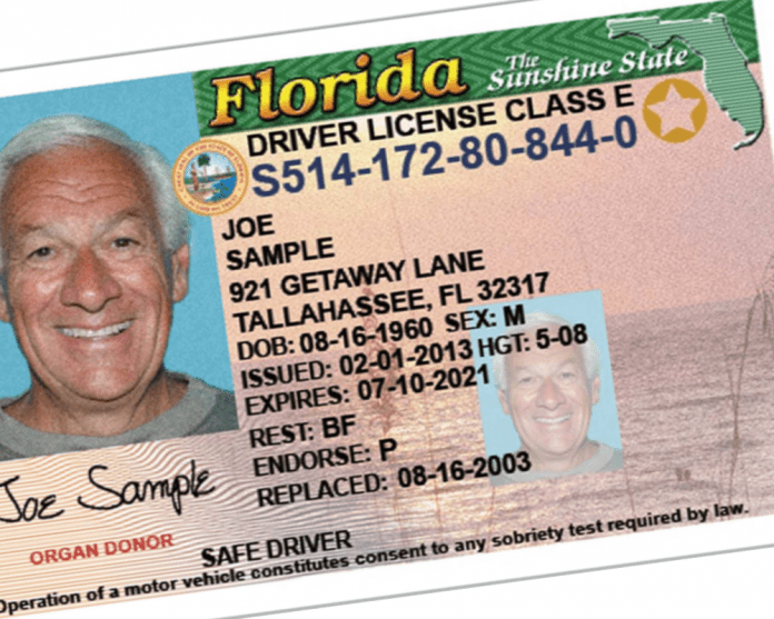 florida drivers license driver immigrants illegal licenses proposed driving reforming again being state jmi suspensions reason foundation call issue obtaining