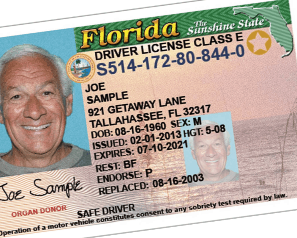 Florida Drivers Licenses for Illegal Immigrants Being