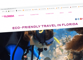 visit florida eco friendly hub