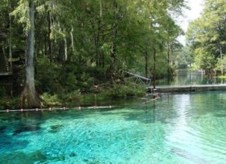 Fanning Springs