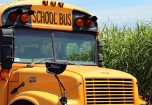school-bus-525x420.png