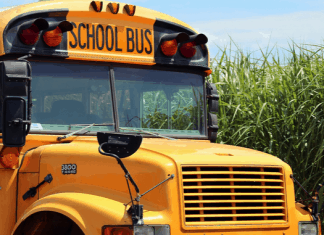 school-bus-525x420.png