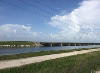 tamiami-trail-in-everglades-national-park-1000x800.jpg