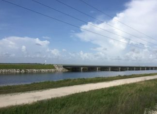 tamiami-trail-in-everglades-national-park-525x420.jpg
