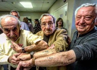 holocaust-survivors-in-the-same-line-at-auschwitz-meet-72-years-later