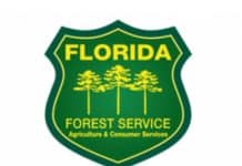 Florida-Forest-Service-525x420-1.jpg
