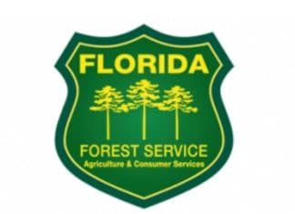 Florida-Forest-Service-525x420-1.jpg