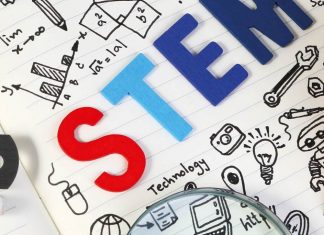 stem
