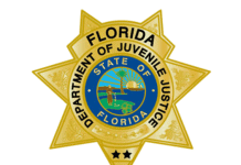 florida djj