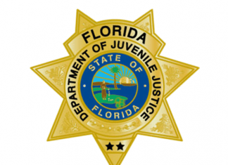 florida djj