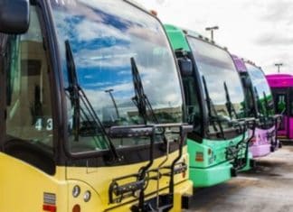 lynx bus