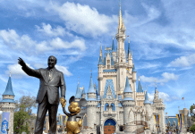 walt disney world