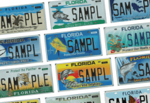 Florida Specialty License Plates 525x420
