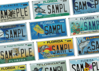 Florida Specialty License Plates 525x420