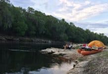 Suwanee River Wilderness Trail_FloridaStateParksdotcom 525x420