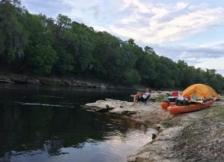 Suwanee River Wilderness Trail_FloridaStateParksdotcom 525x420
