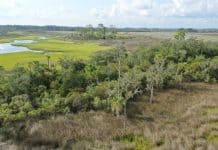 Intracoastal-Islands-525x420-1.jpeg