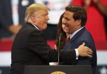 ron desantis shaking donald trump's hand