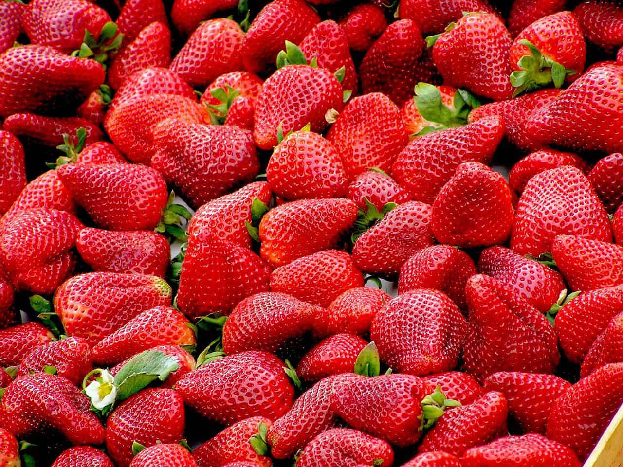 https://www.floridadaily.com/wp-content/uploads/2022/05/strawberries.jpeg